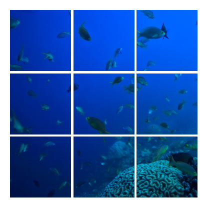 Split canvas prints - Wall 1